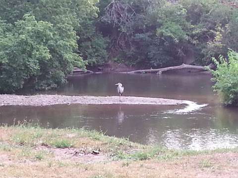 Mt Pleasant City Parks & Rec